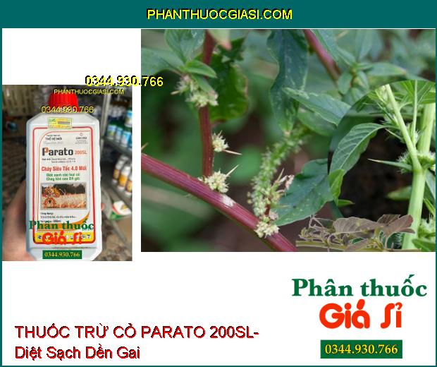 THUỐC TRỪ CỎ PARATO 200SL- Diệt Sạch Các Loại Cỏ- Cỏ Cháy Khô Sau 24h