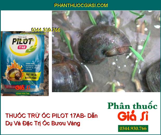 THUỐC TRỪ ỐC PILOT 17AB- Dẫn Dụ Và Đặc Trị Ốc Bươu Vàng