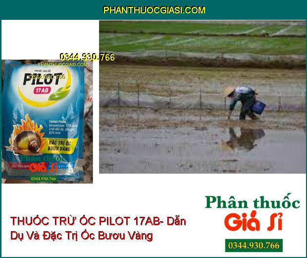 THUỐC TRỪ ỐC PILOT 17AB- Dẫn Dụ Và Đặc Trị Ốc Bươu Vàng