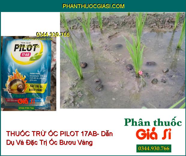 THUỐC TRỪ ỐC PILOT 17AB- Dẫn Dụ Và Đặc Trị Ốc Bươu Vàng