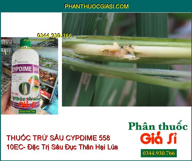 THUỐC TRỪ SÂU CYPDIME 558 10EC- Đặc Trị Sâu Đục Thân Hại Lúa