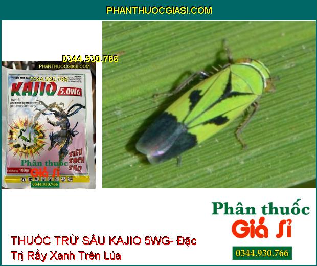 THUỐC TRỪ SÂU KAJIO 5WG- Đặc Trị Sâu Cuốn Lá Trên Lúa