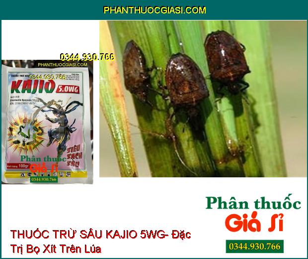 THUỐC TRỪ SÂU KAJIO 5WG- Đặc Trị Sâu Cuốn Lá Trên Lúa