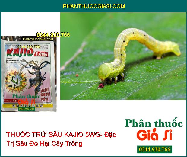 THUỐC TRỪ SÂU KAJIO 5WG- Đặc Trị Sâu Cuốn Lá Trên Lúa