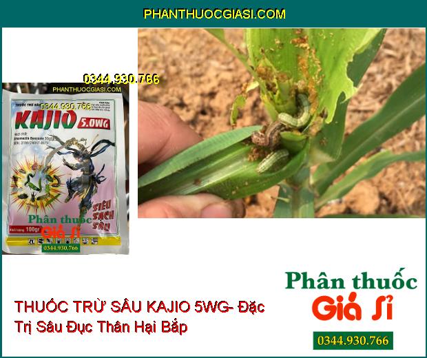 THUỐC TRỪ SÂU KAJIO 5WG- Đặc Trị Sâu Cuốn Lá Trên Lúa