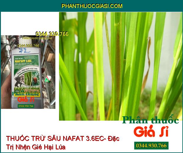 THUỐC TRỪ SÂU NAFAT 3.6EC- Đặc Trị Sâu Cuốn Lá- Nhện Gié Trên Lúa- Nhện Đỏ Trên Sắn