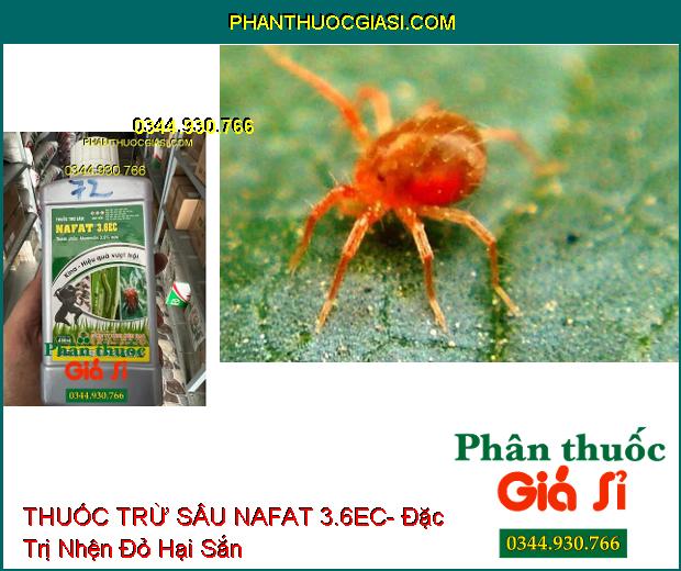 THUỐC TRỪ SÂU NAFAT 3.6EC- Đặc Trị Sâu Cuốn Lá- Nhện Gié Trên Lúa- Nhện Đỏ Trên Sắn