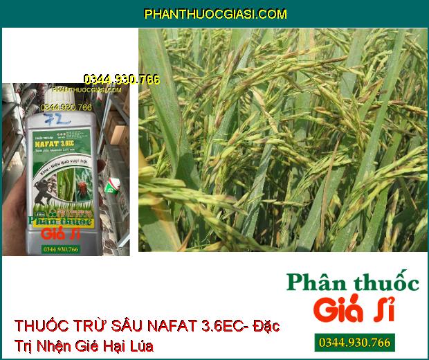 THUỐC TRỪ SÂU NAFAT 3.6EC- Đặc Trị Sâu Cuốn Lá- Nhện Gié Trên Lúa- Nhện Đỏ Trên Sắn