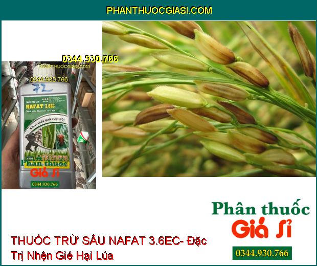 THUỐC TRỪ SÂU NAFAT 3.6EC- Đặc Trị Sâu Cuốn Lá- Nhện Gié Trên Lúa- Nhện Đỏ Trên Sắn