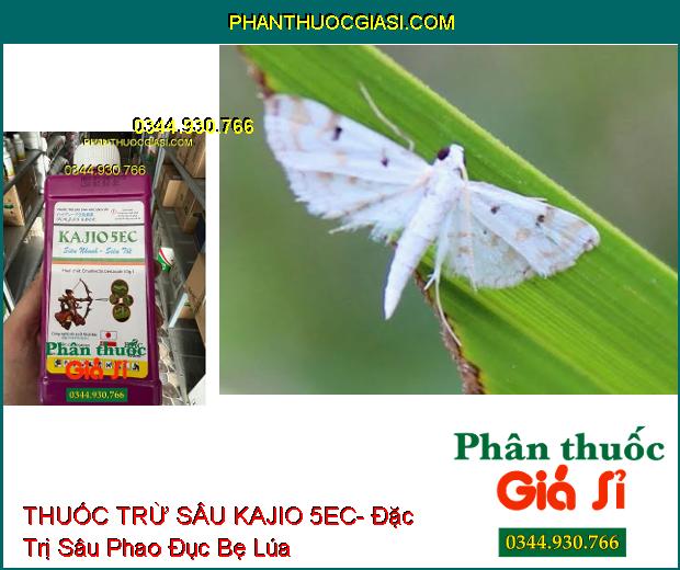 THUỐC TRỪ SÂU KAJIO 5EC- Đặc Trị Sâu Phao Đục Bẹ Lúa- Sâu Xanh Bắp Cải