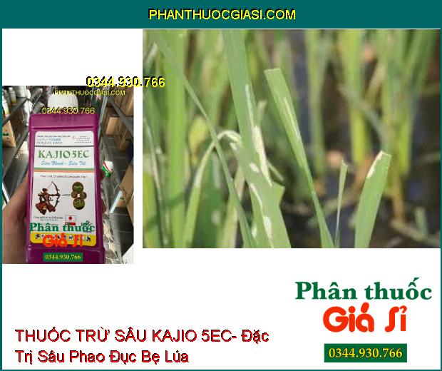 THUỐC TRỪ SÂU KAJIO 5EC- Đặc Trị Sâu Phao Đục Bẹ Lúa- Sâu Xanh Bắp Cải