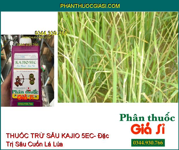 THUỐC TRỪ SÂU KAJIO 5EC- Đặc Trị Sâu Phao Đục Bẹ Lúa- Sâu Xanh Bắp Cải