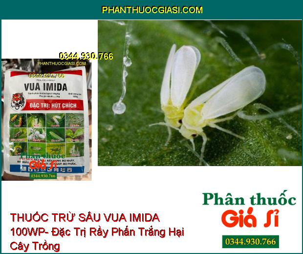 THUỐC TRỪ SÂU VUA IMIDA 100WP- Đặc Trị Các Loại Côn Trùng Chích Hút