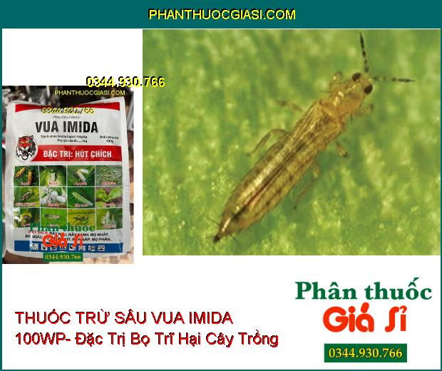 THUỐC TRỪ SÂU VUA IMIDA 100WP- Đặc Trị Các Loại Côn Trùng Chích Hút