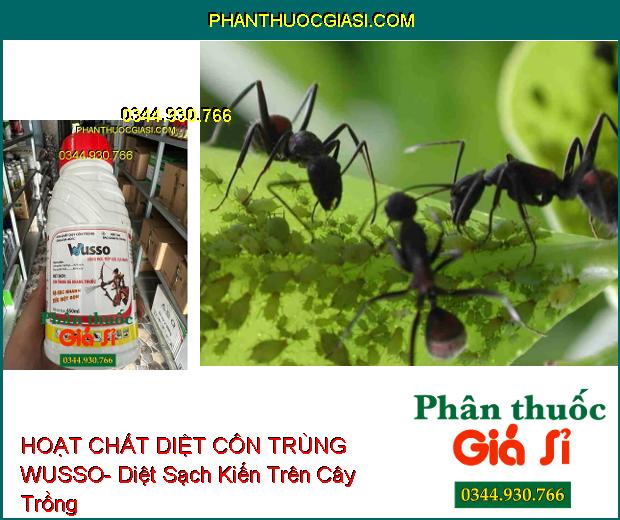 HOẠT CHẤT DIỆT CÔN TRÙNG WUSSO- Diệt Sạch Côn Trùng Đã Kháng Thuốc