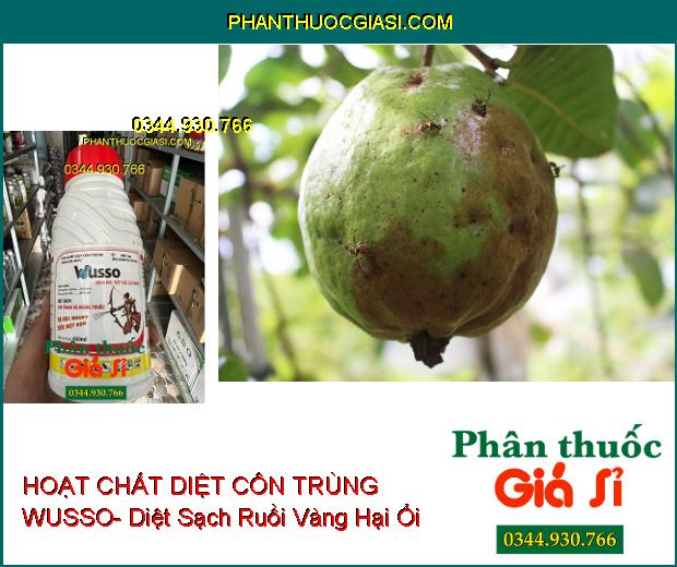 HOẠT CHẤT DIỆT CÔN TRÙNG WUSSO- Diệt Sạch Côn Trùng Đã Kháng Thuốc