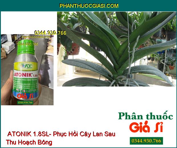 THUỐC KÍCH THÍCH SINH TRƯỞNG ATONIK 1.8SL- Kích Thích Nảy Mầm- Ra Rễ- Phục Hồi Cây