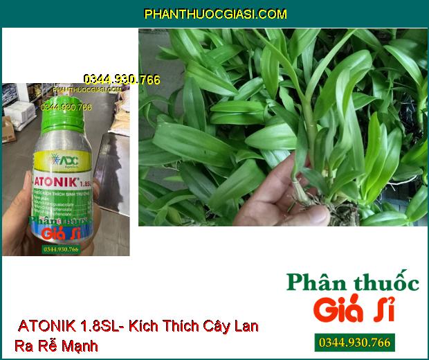 THUỐC KÍCH THÍCH SINH TRƯỞNG ATONIK 1.8SL- Kích Thích Nảy Mầm- Ra Rễ- Phục Hồi Cây