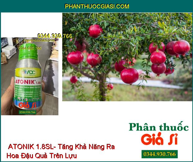 THUỐC KÍCH THÍCH SINH TRƯỞNG ATONIK 1.8SL- Kích Thích Nảy Mầm- Ra Rễ- Phục Hồi Cây