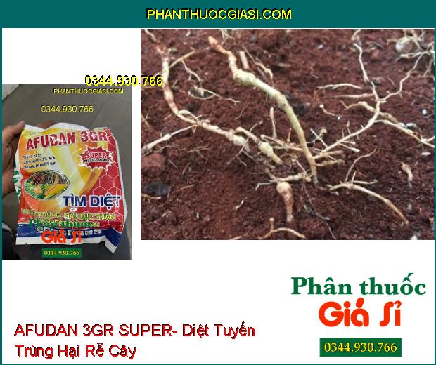 AFUDAN 3GR SUPER- Diệt Tuyến Trùng- Sâu Đục Thân- Rầy Nâu