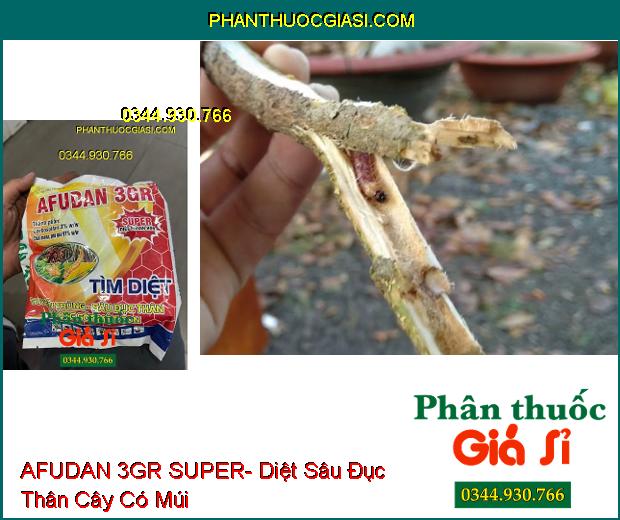 AFUDAN 3GR SUPER- Diệt Tuyến Trùng- Sâu Đục Thân- Rầy Nâu