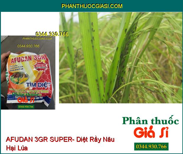 AFUDAN 3GR SUPER- Diệt Tuyến Trùng- Sâu Đục Thân- Rầy Nâu