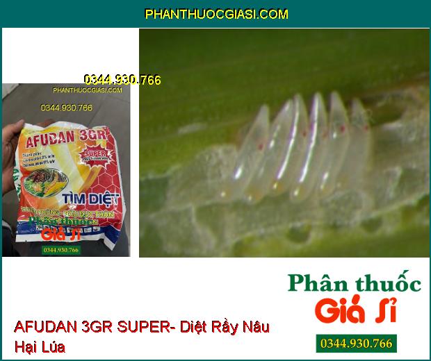 AFUDAN 3GR SUPER- Diệt Tuyến Trùng- Sâu Đục Thân- Rầy Nâu