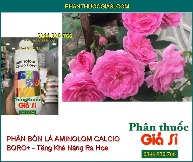 PHÂN BÓN LÁ AMINOLOM CALCIO BORO+ -Thân Chắc Khỏe- Lá Xanh Dày- Ra Hoa- Đậu Trái