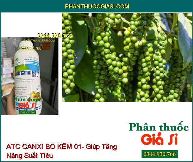 ATC CANXI BO KẼM 01- Cây Ra Rễ Mạnh- Cứng Cây- Tăng Đậu Trái