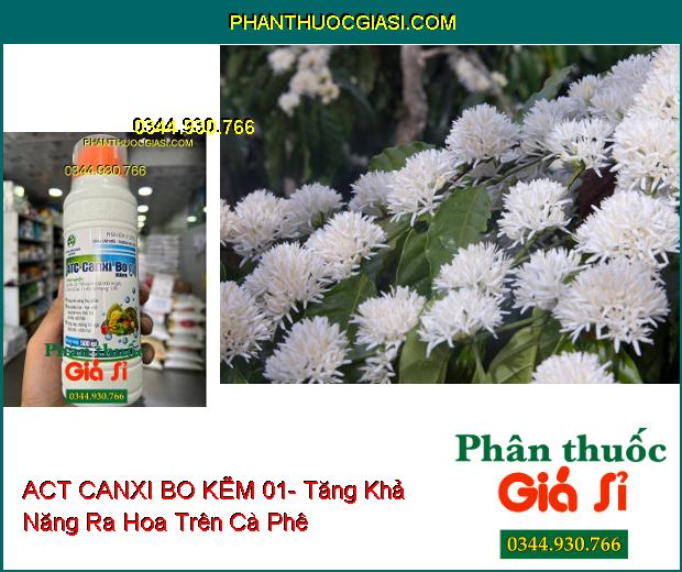 ACT CANXI BO KẼM 01- Tăng Khả Năng Thụ Phấn- Ra Nhiều Hoa- Cứng Cây