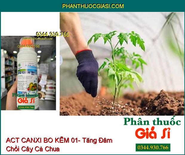 ACT CANXI BO KẼM 01- Tăng Khả Năng Thụ Phấn- Ra Nhiều Hoa- Cứng Cây