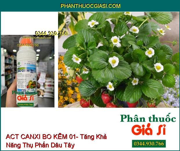 ACT CANXI BO KẼM 01- Tăng Khả Năng Thụ Phấn- Ra Nhiều Hoa- Cứng Cây