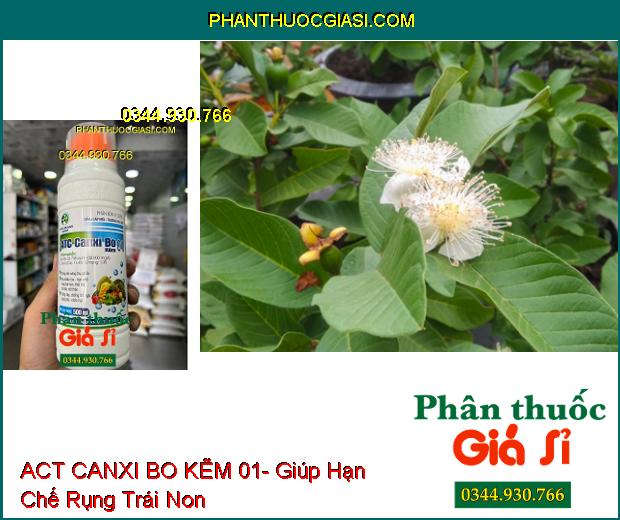 ACT CANXI BO KẼM 01- Tăng Khả Năng Thụ Phấn- Ra Nhiều Hoa- Cứng Cây