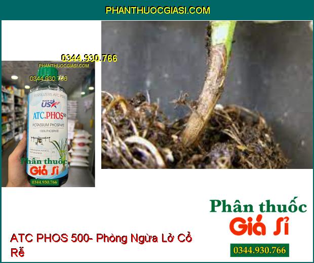 ATC PHOS 500- Giải Độc- Ra Rễ Cực Mạnh- Phòng Ngừa Nứt Thân- Lở Cổ Rễ