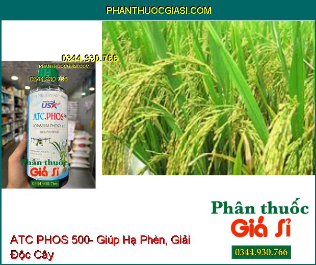 ATC PHOS 500- Giải Độc- Ra Rễ Cực Mạnh- Phòng Ngừa Nứt Thân- Lở Cổ Rễ