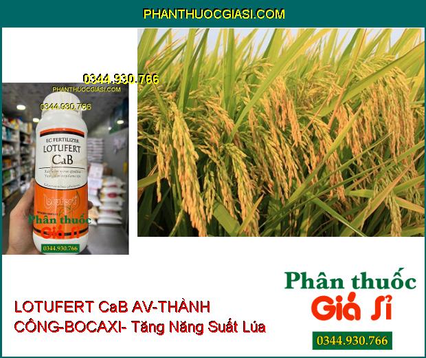 LOTUFERT CaB AV-THÀNH CÔNG-BOCAXI- Tăng Khả Năng Ra Hoa- Chống Rụng Hoa- Chống Thối Trái