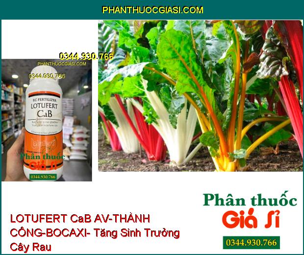 LOTUFERT CaB AV-THÀNH CÔNG-BOCAXI- Tăng Khả Năng Ra Hoa- Chống Rụng Hoa- Chống Thối Trái