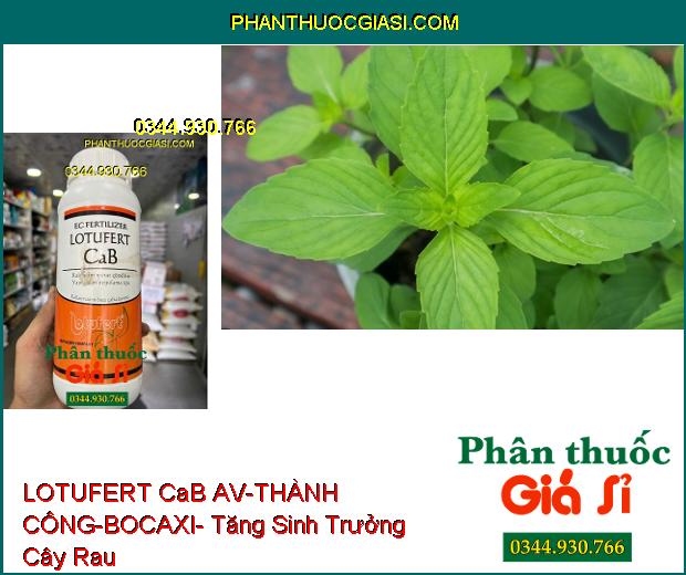 LOTUFERT CaB AV-THÀNH CÔNG-BOCAXI- Tăng Khả Năng Ra Hoa- Chống Rụng Hoa- Chống Thối Trái