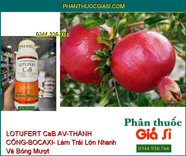 LOTUFERT CaB AV-THÀNH CÔNG-BOCAXI- Tăng Khả Năng Ra Hoa- Chống Rụng Hoa- Chống Thối Trái