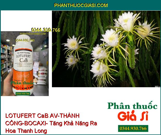 LOTUFERT CaB AV-THÀNH CÔNG-BOCAXI- Tăng Khả Năng Ra Hoa- Chống Rụng Hoa- Chống Thối Trái