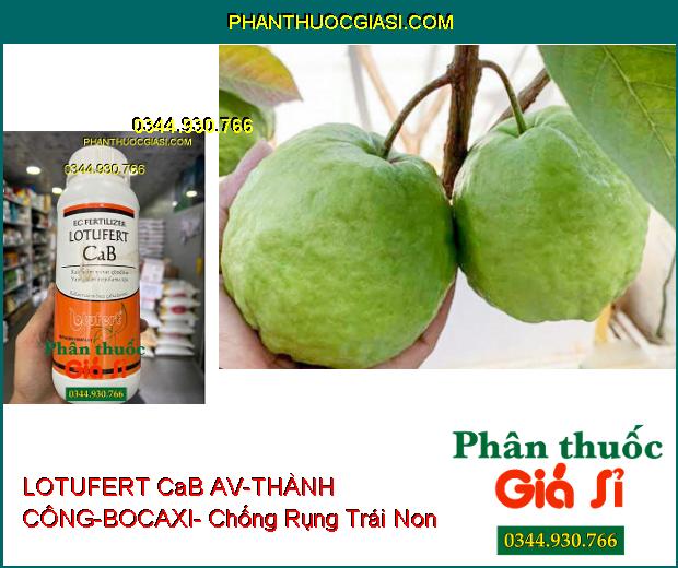 LOTUFERT CaB AV-THÀNH CÔNG-BOCAXI- Tăng Khả Năng Ra Hoa- Chống Rụng Hoa- Chống Thối Trái