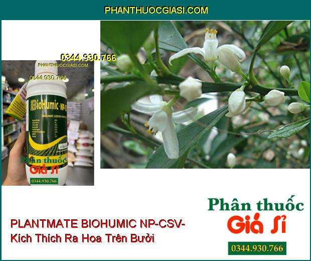 PLANTMATE BIOHUMIC NP-CSV- Kích Thích Ra Hoa- Dưỡng Quả- Tăng Hấp Thu Phân Bón