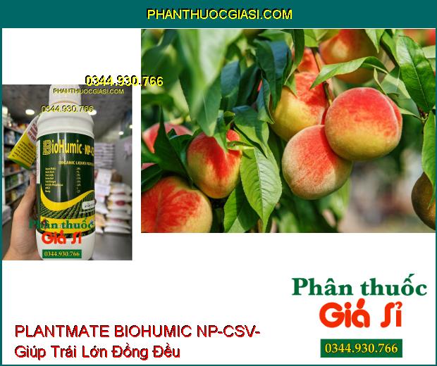 PLANTMATE BIOHUMIC NP-CSV- Kích Thích Ra Hoa- Dưỡng Quả- Tăng Hấp Thu Phân Bón