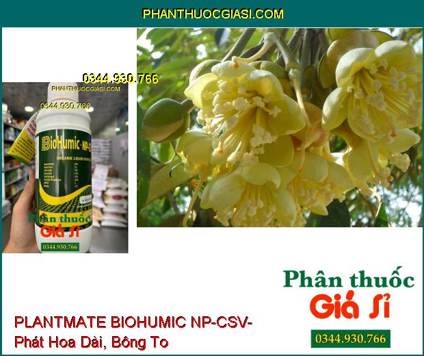 PLANTMATE BIOHUMIC NP-CSV- Kích Thích Ra Hoa- Dưỡng Quả- Tăng Hấp Thu Phân Bón