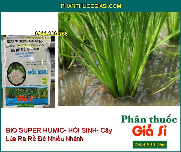 PHÂN BÓN NPK BIO SUPER HUMIC- HỒI SINH