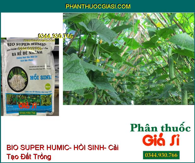 PHÂN BÓN NPK BIO SUPER HUMIC- HỒI SINH