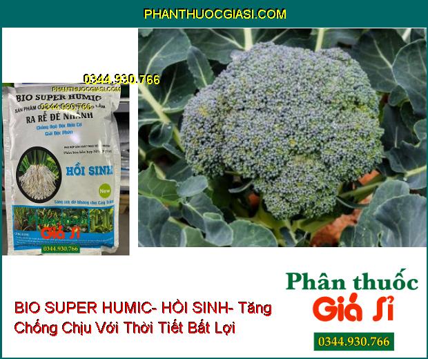 PHÂN BÓN NPK BIO SUPER HUMIC- HỒI SINH