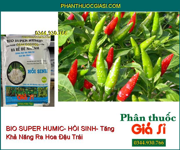 PHÂN BÓN NPK BIO SUPER HUMIC- HỒI SINH