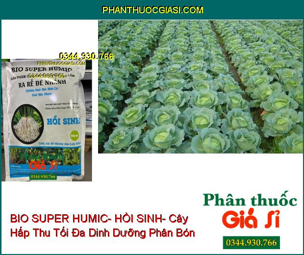 PHÂN BÓN NPK BIO SUPER HUMIC- HỒI SINH