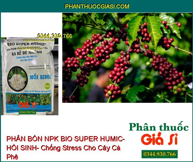 PHÂN BÓN NPK BIO SUPER HUMIC- HỒI SINH